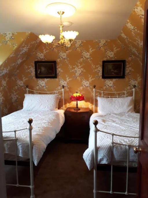Beautiful Traditional Secluded Country Cottage Sanquhar Eksteriør billede